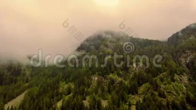 雾在蒙特罗莎附近的格雷斯尼山谷的一片森林上快速移动的时间流逝